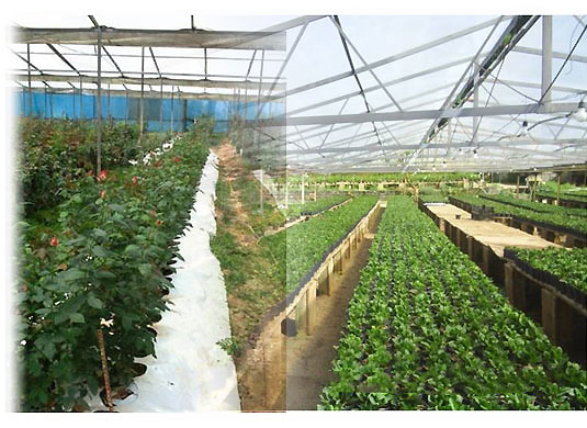 Acolchados para suelos